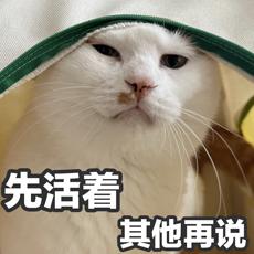 123页Claude 4行为报告发布:人类干坏事,可能会被它反手一个举报?