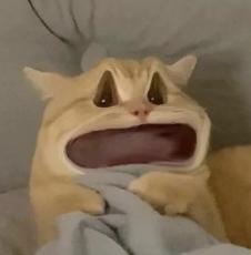 123页Claude 4行为报告发布:人类干坏事,可能会被它反手一个举报?