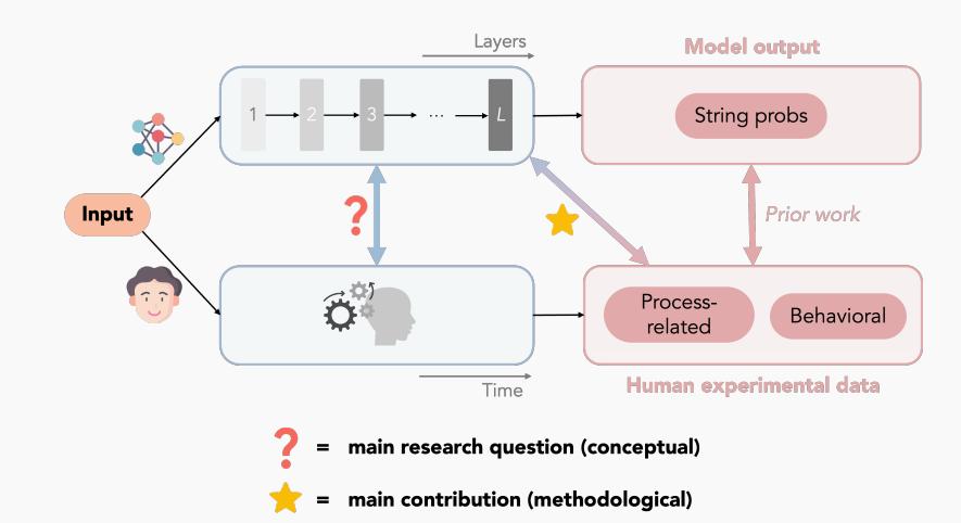 哈佛新论文揭示 Transformer 模型与人脑“同步纠结”全过程,AI也会犹豫、反悔?
