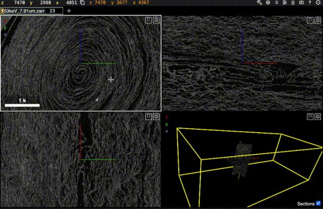 AI再破2000年前「上古卷轴」,古希腊著作原文首次重见天日