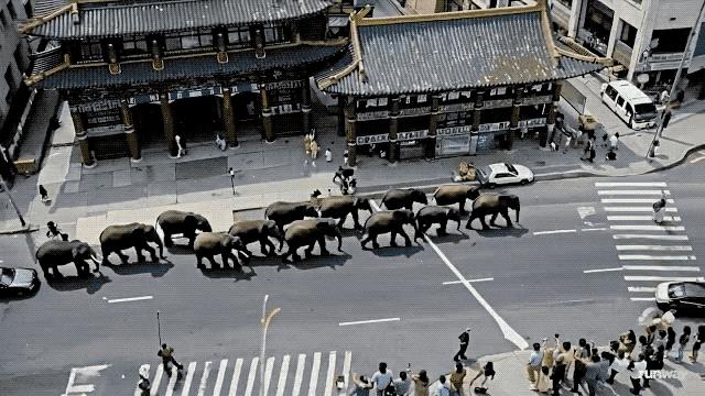 一张照片生成连贯全片!Runway Gen-4 深夜发布,终于捅破 AI 视频多年的天花板