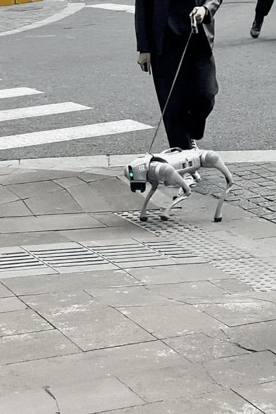 今年又一个火出海外的中国AI,萌翻了