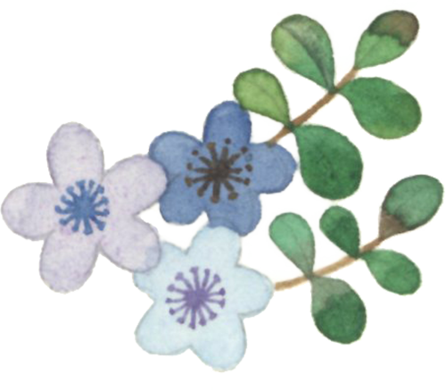 PPT过时了?看智慧教师如何用DeepSeek玩转课堂动画