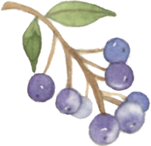 PPT过时了?看智慧教师如何用DeepSeek玩转课堂动画