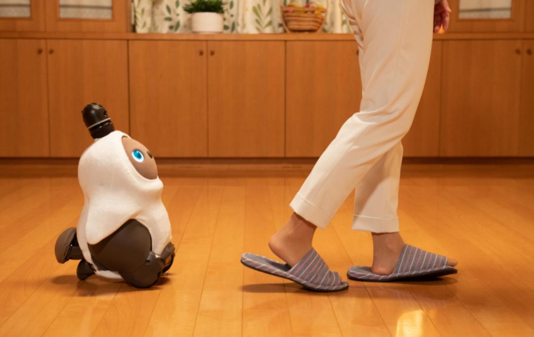 具身智能最先跑出的“杀手级产品”或许是陪伴机器人