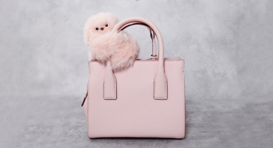 具身智能最先跑出的“杀手级产品”或许是陪伴机器人