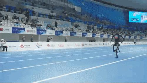 首届机器人运动会,是比谁摔得更有观众缘