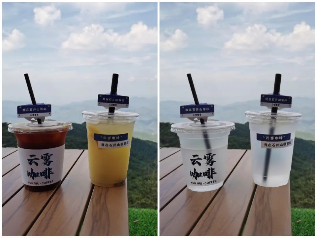 教程分享!将万物变成酷炫透明风格图片(附生成案例)