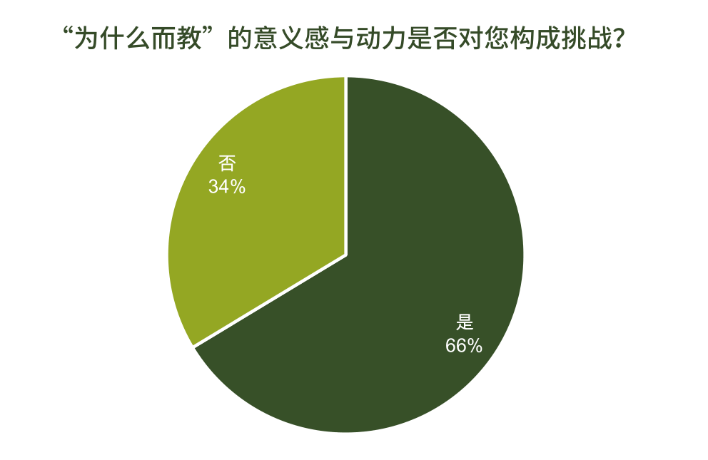 21世纪教师技能研究报告