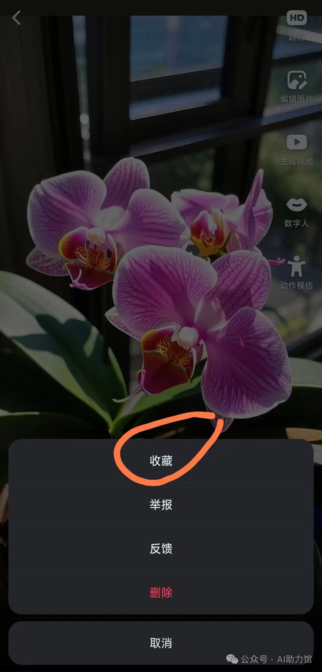 如何用AI复刻你想要的图片?比如自己的照片、蝴蝶兰,或者哪吒,免费无水印出图 | 自媒体创作者的福音:按需出图