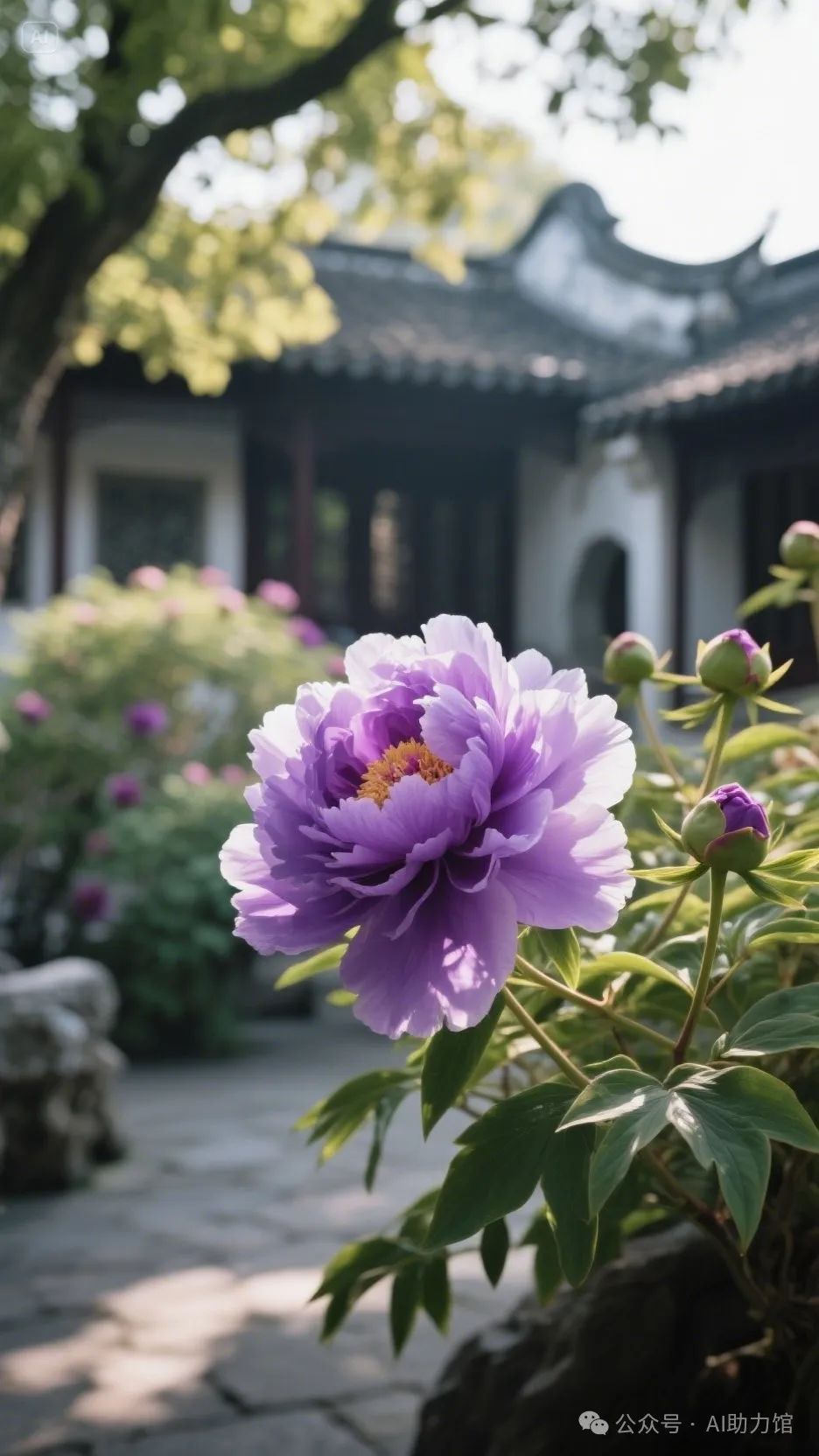 如何编写AI提示词,生成漂亮的牡丹花?