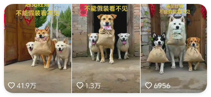 1条作品获赞41万,用AI制作的5秒萌宠视频(附提示词)