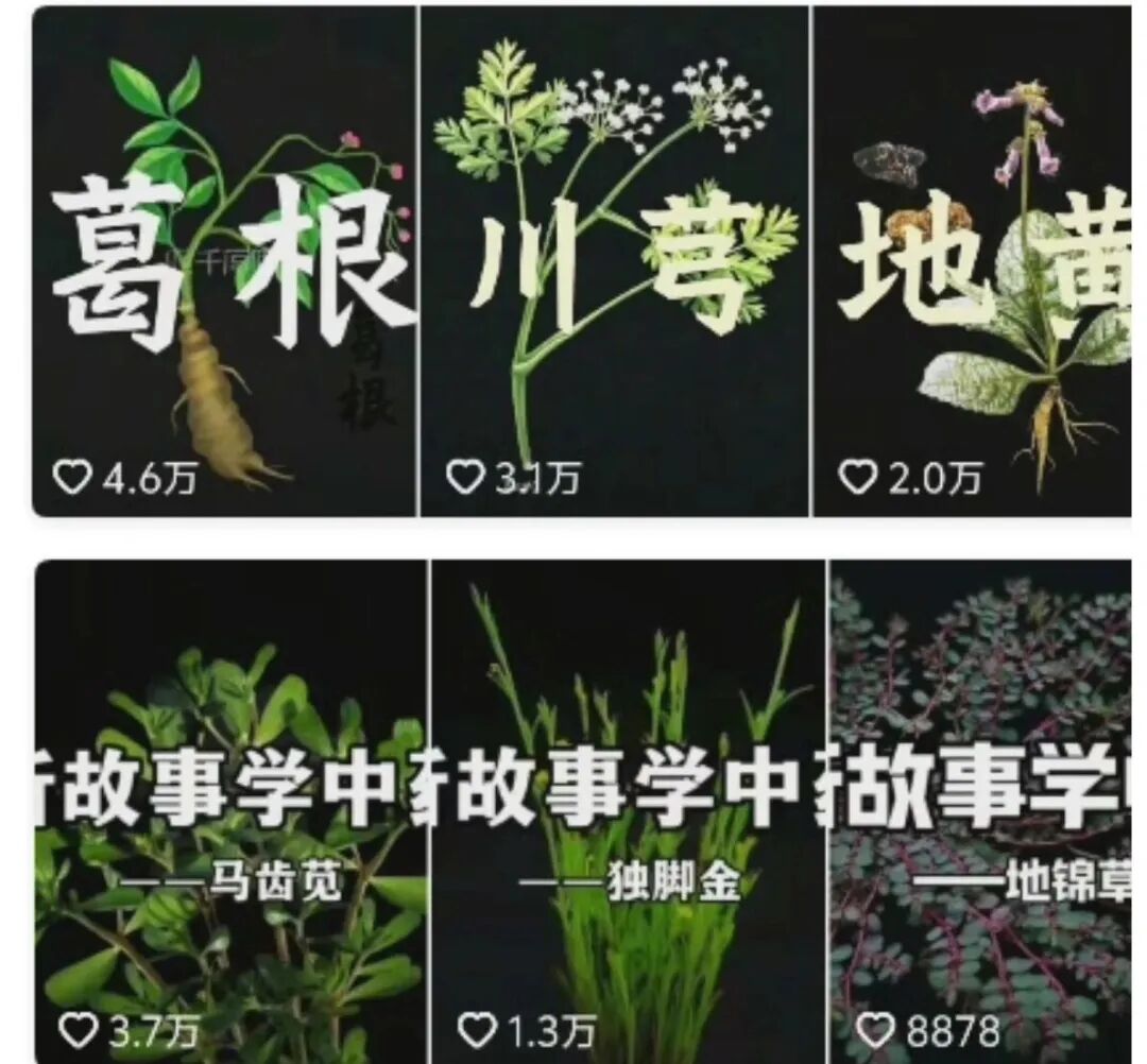 太强了!2周涨13万粉,用AI讲中药故事火出圈,保姆级教程来了!