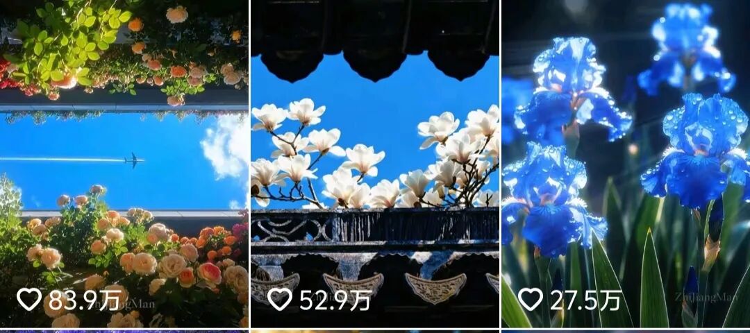 狂揽207万赞!AI花朵成了年轻人的“电子布洛芬”