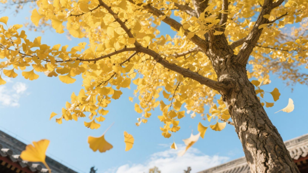 狂揽207万赞!AI花朵成了年轻人的“电子布洛芬”