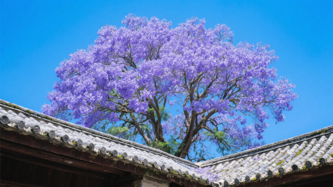 狂揽207万赞!AI花朵成了年轻人的“电子布洛芬”