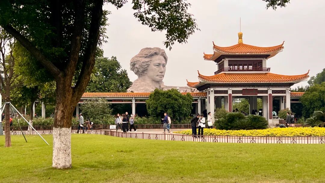 氛围编程:借助AI, 不懂代码也能写出精彩