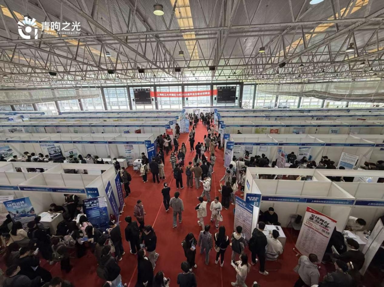 以三维智能评估为钥,青昫之光助力大学生智启求职第一步