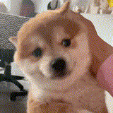 太爽了!用豆包 seedream 4.0 实现非遗微缩世界!(附提示词)