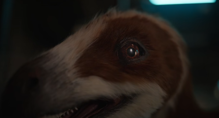 越疆新款机器人“复活”1 亿年前的中华龙鸟:全球首个超仿生具身智能体