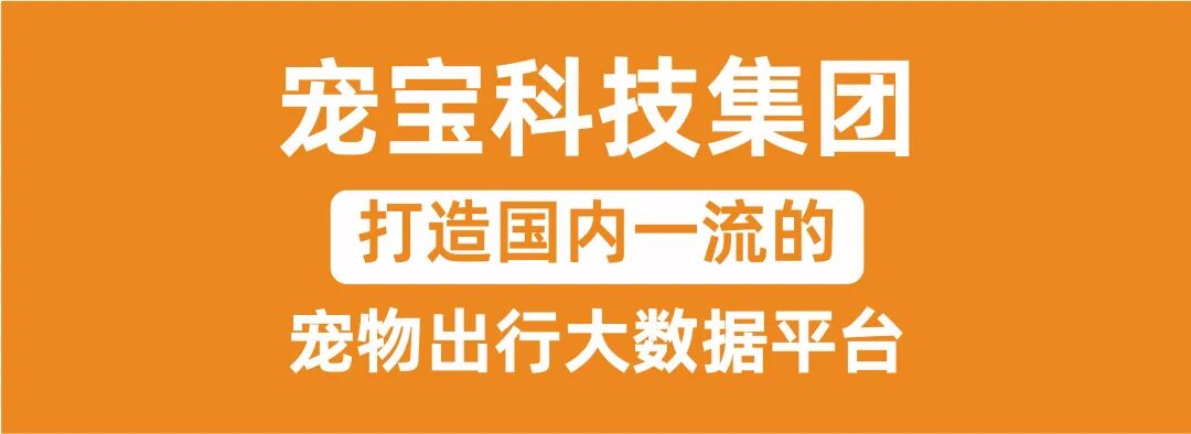 “出行神器”宠宝智能舱上市,引领宠物出行行业智慧升级
