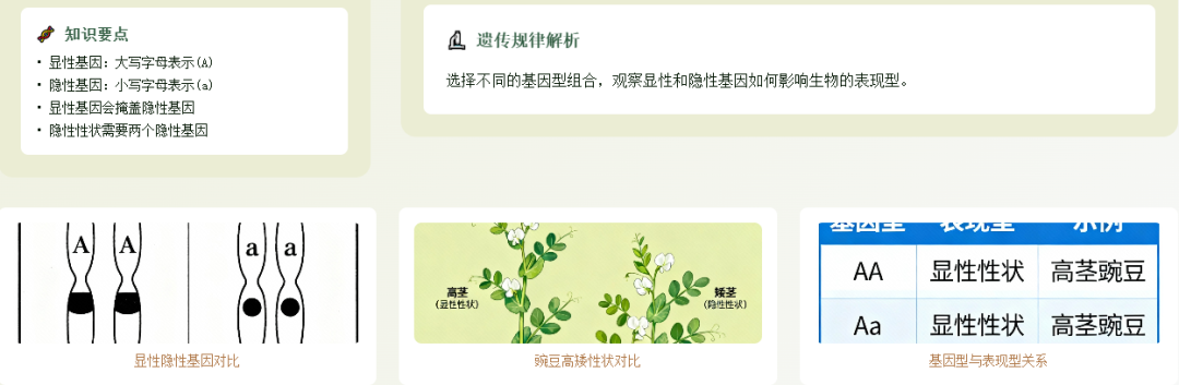 初中老师备课狂喜!七八年级全册 HTML 动画资源包,复杂知识点 “动” 起来教(生物篇)