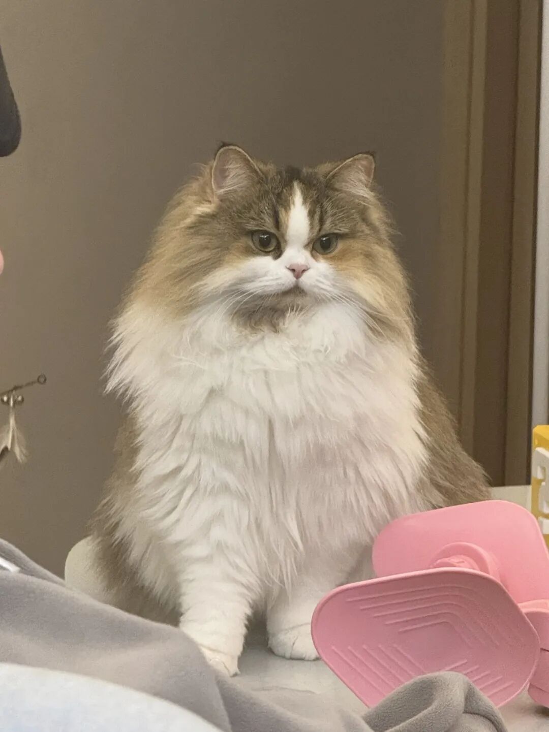 Nano Banana Pro新出20种邪修玩法,做手办已经落后N个版本了