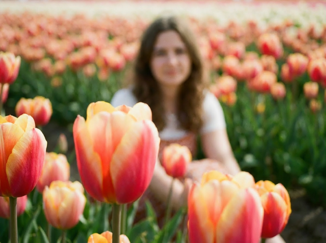 10个免费白嫖 Nano Banana Pro 的方法,亲测有用