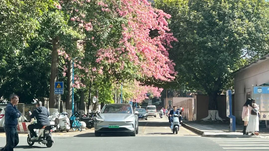 未来就绪,人工智能未来就绪,人工智能未来就绪学校