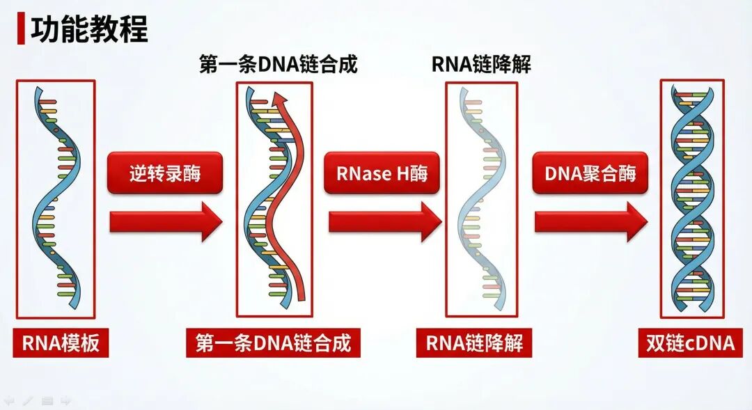 亲测有效!5 个网站国内白嫖 Nano-Banana pro !太爽了!(文末有提示词库)