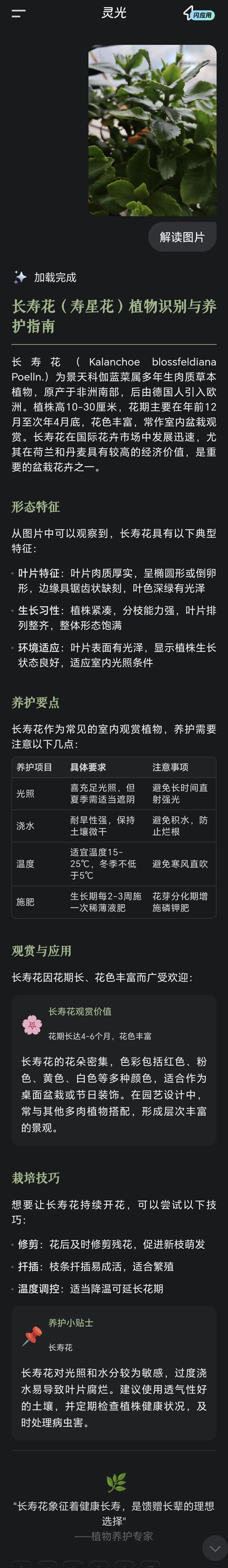 蚂蚁"灵光"Ai助手:重塑教育体验的智能革命