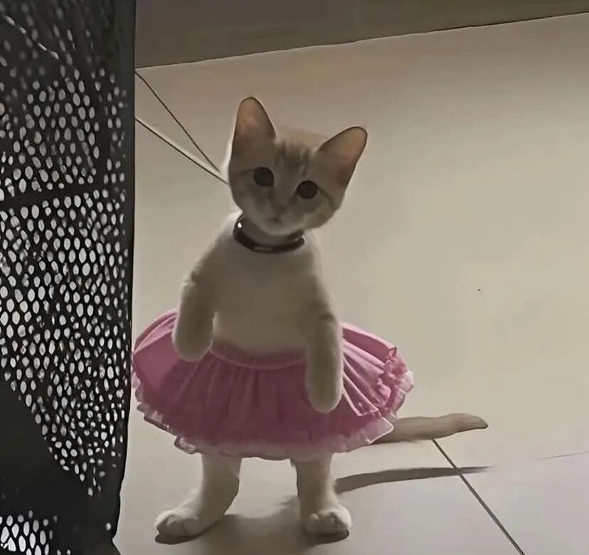 手机也能做音画同步视频了,这才是普通人该用的工具