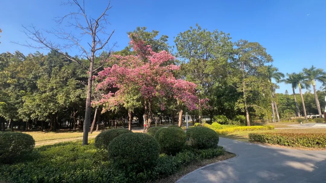 人工智能时代,人类的学习正在走向人机双向学习与共同进化,学习范式的革命正在发生