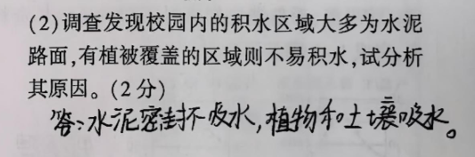 如何让AI检查和辅导孩子作业?