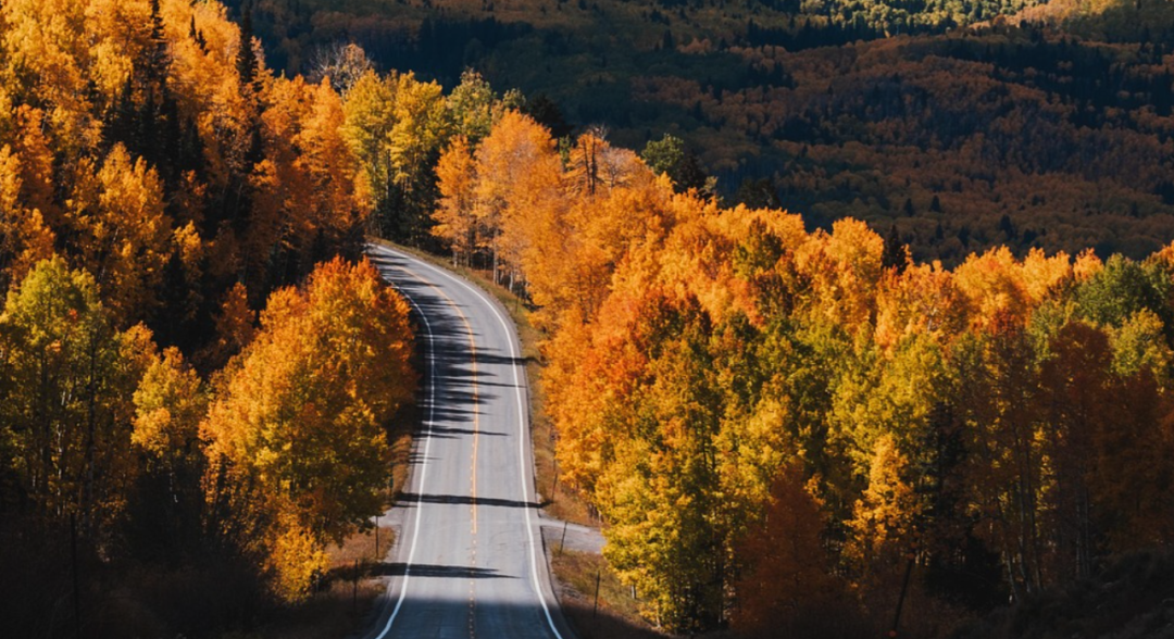 人工智能大潮涌动,中小学如何避免踩入过去几十年教育信息化发展的哪些坑?