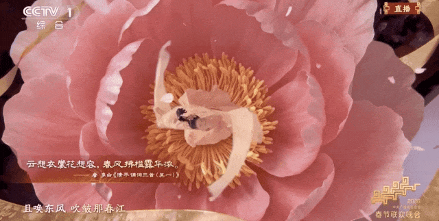 太美了!豆包揭秘《贺花神》用了Seedance2.0,手把手用豆包带你复刻专属自己的唯美花神!(附花神典故)