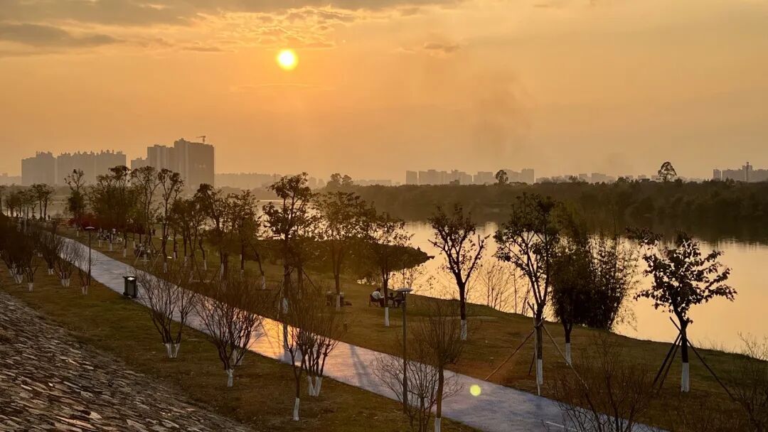 为什么AI有时是补药,有时却是毒药?一项颠覆性的教育实验,揭开了AI时代的“勤奋”悖论