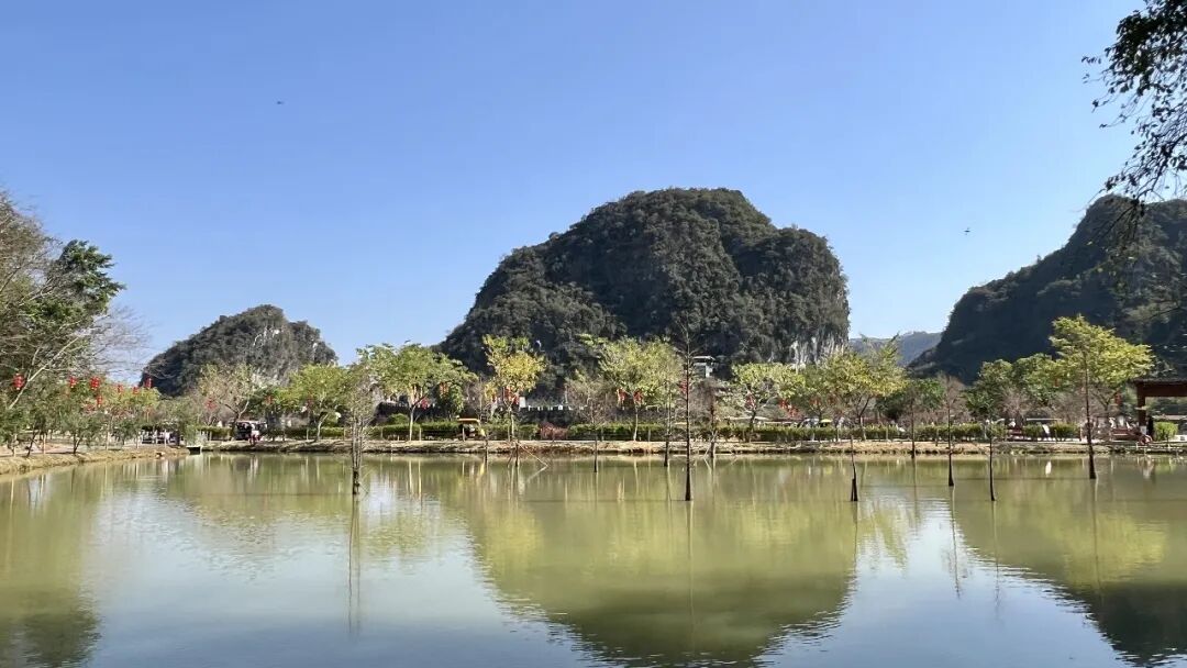 新书上架,《可教育性:人工智能时代人类教育新理论》,所获得的海内外的赞誉!