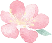 新书上架,《可教育性:人工智能时代人类教育新理论》,所获得的海内外的赞誉!