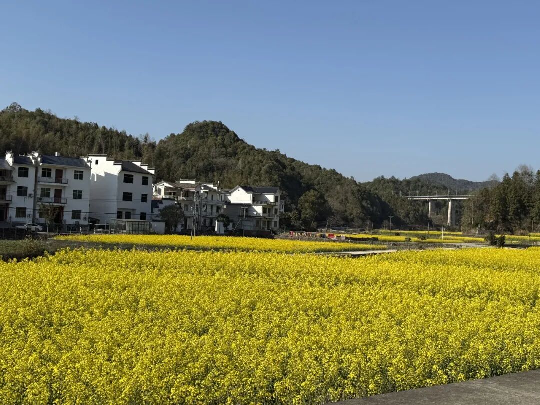 用 AI 多角度出图,电商产品图有救了!