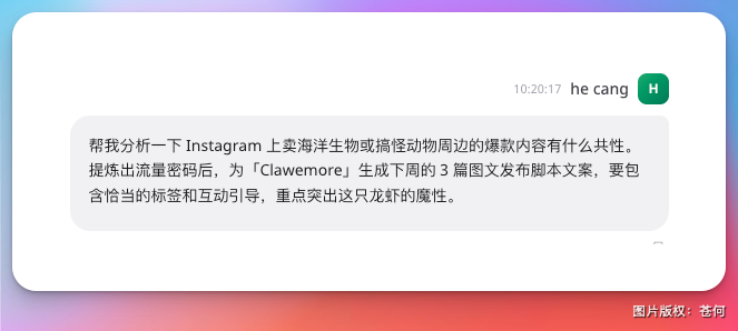 30分钟用 Agent 搓出一家跨境网店,疯了