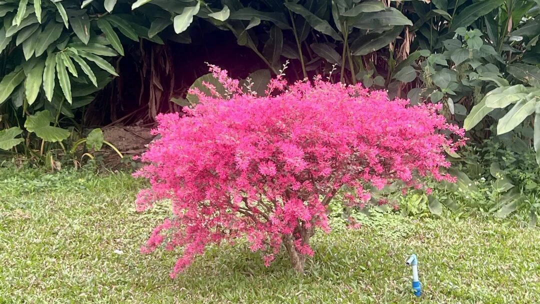 81000人的深夜倾诉,在他们心目中的人工智能:愿景、恐惧与现实变革,AI正在偷走人类最珍贵的东西?