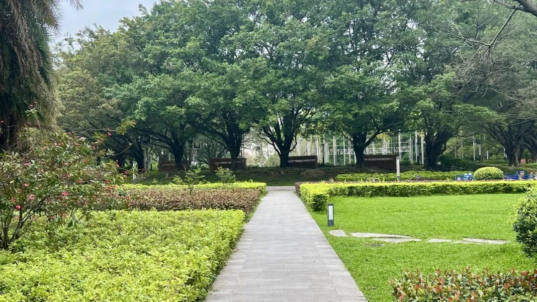 一个AI写作的挑衅实验,引发了巨大争议,学术界为之愤怒,迫使学术共同体重新思考人工智能时代知识生产机制