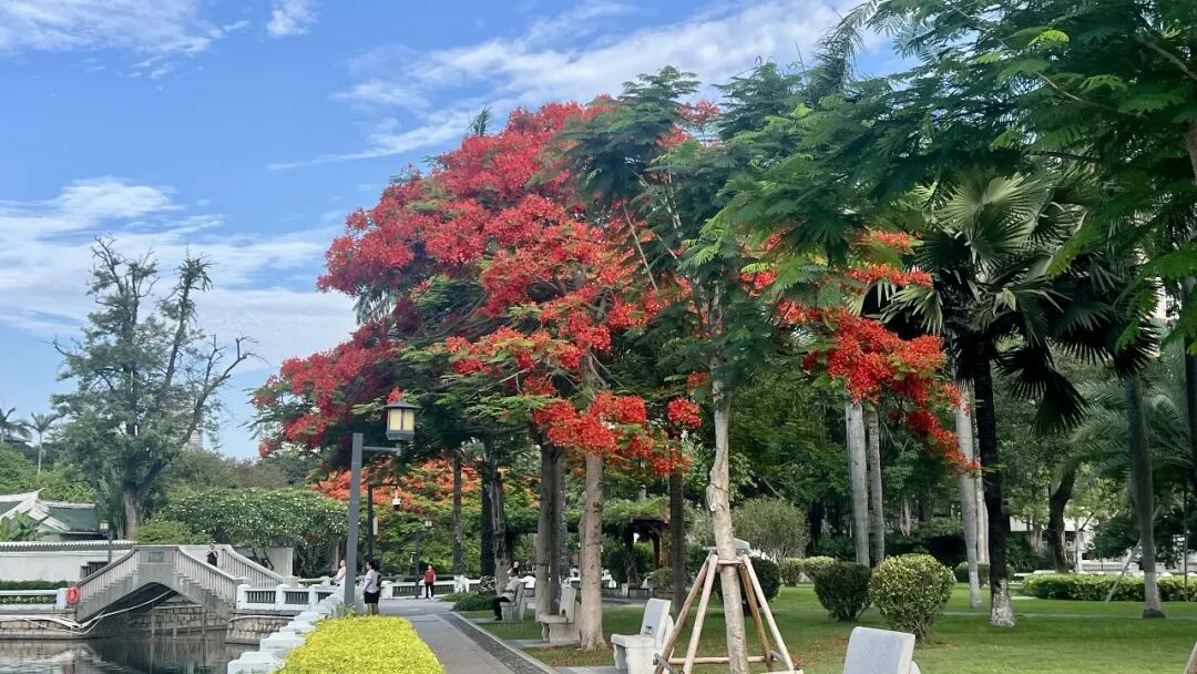 当 AI 开始写论文,我们离真正的自动化科学还有多远?在这个时代,发现不再仅仅是人类的追求了