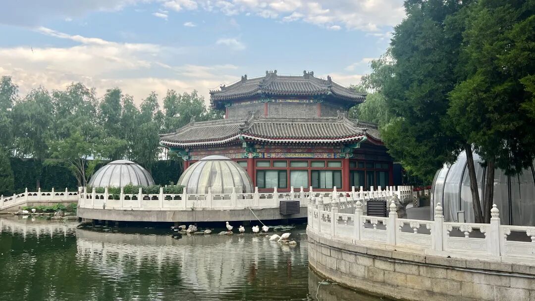 AI不是年轻人的专利,银龄跨越数字鸿沟