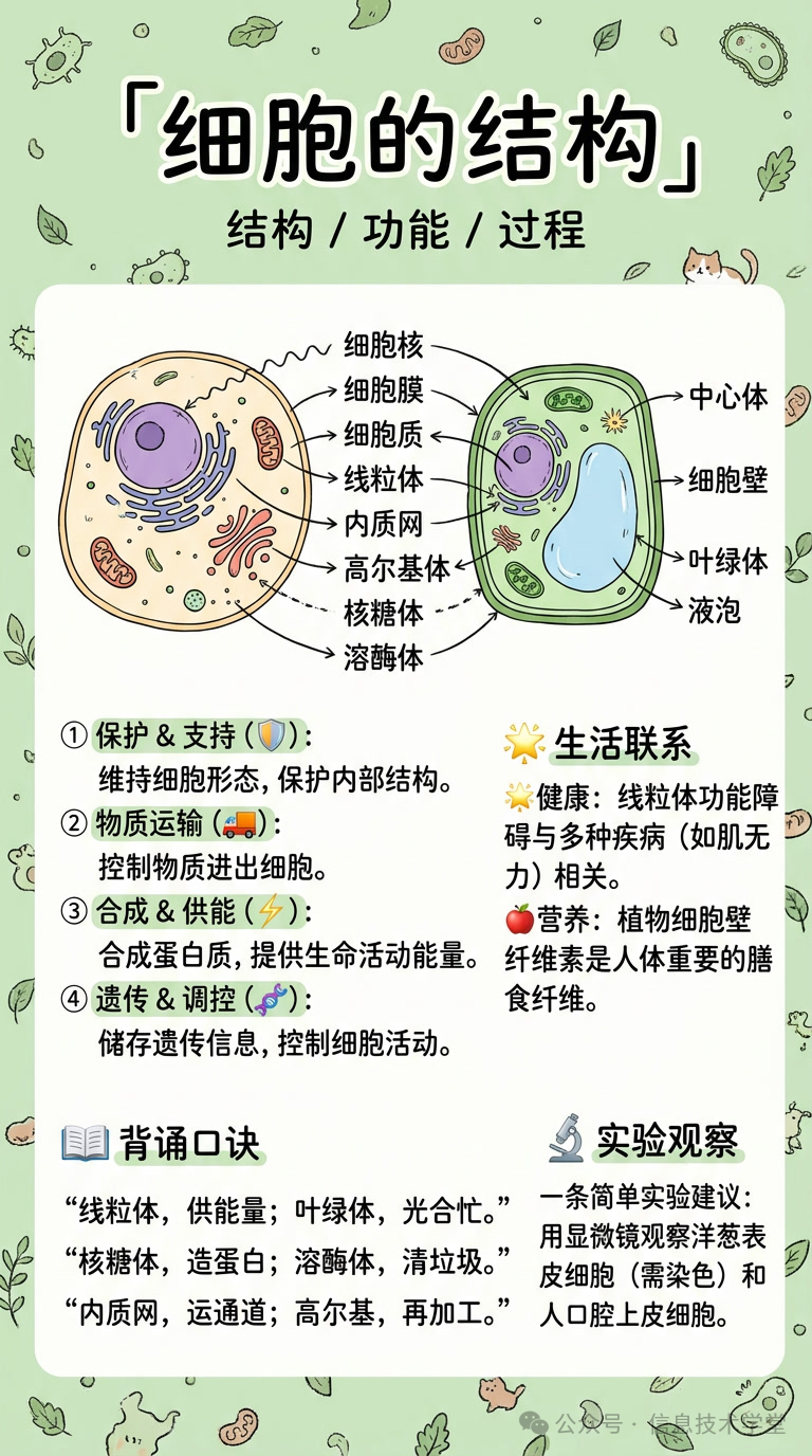 【免费】14个学科教学卡片生成器已升级为超强pro版