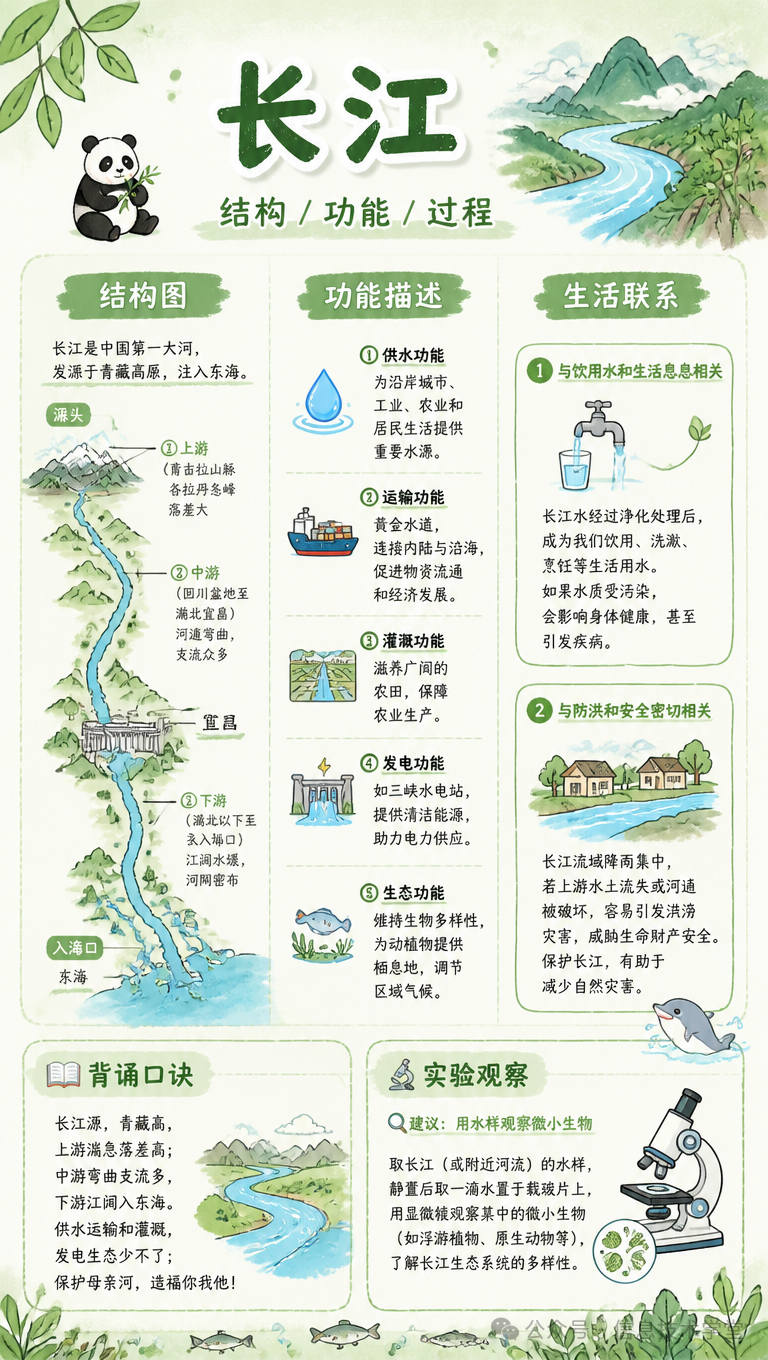 【免费】14个学科教学卡片生成器已升级为超强pro版
