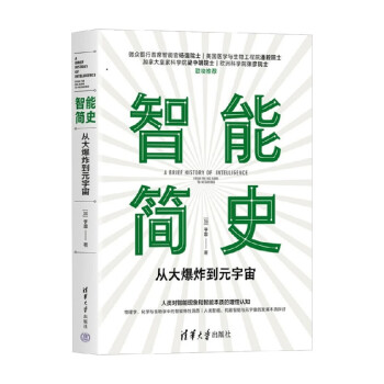 《智能简史：从大爆炸到元宇宙》