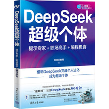 《DeepSeek超级个体：提示专家+职场高手+编程极客》