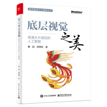 《底层视觉之美：高清大片背后的人工智能》